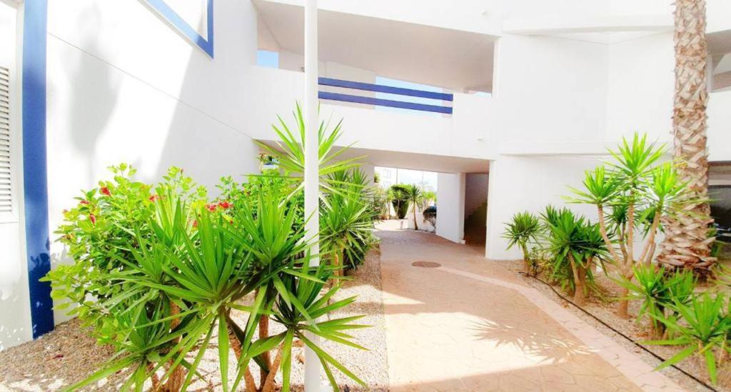 Apartment With Sea Views In Las Terrazas/Playa Flamenca Dehesa de Campoamor  Bagian luar foto